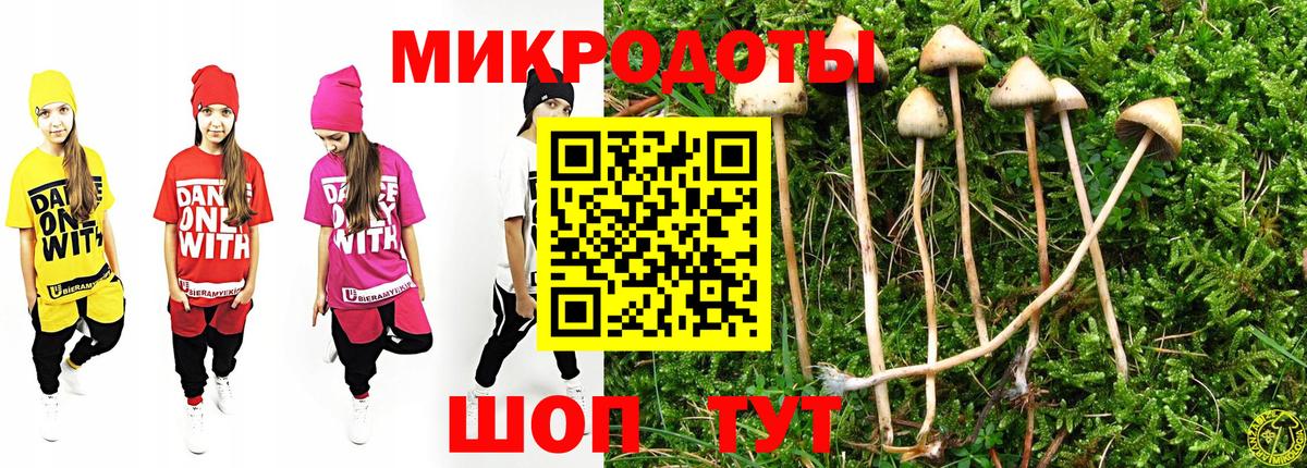 Псилоцибиновые грибы мицелий  Галлюциногенные грибы Psilocybine cubensis  Вход с VPN  Элиста 