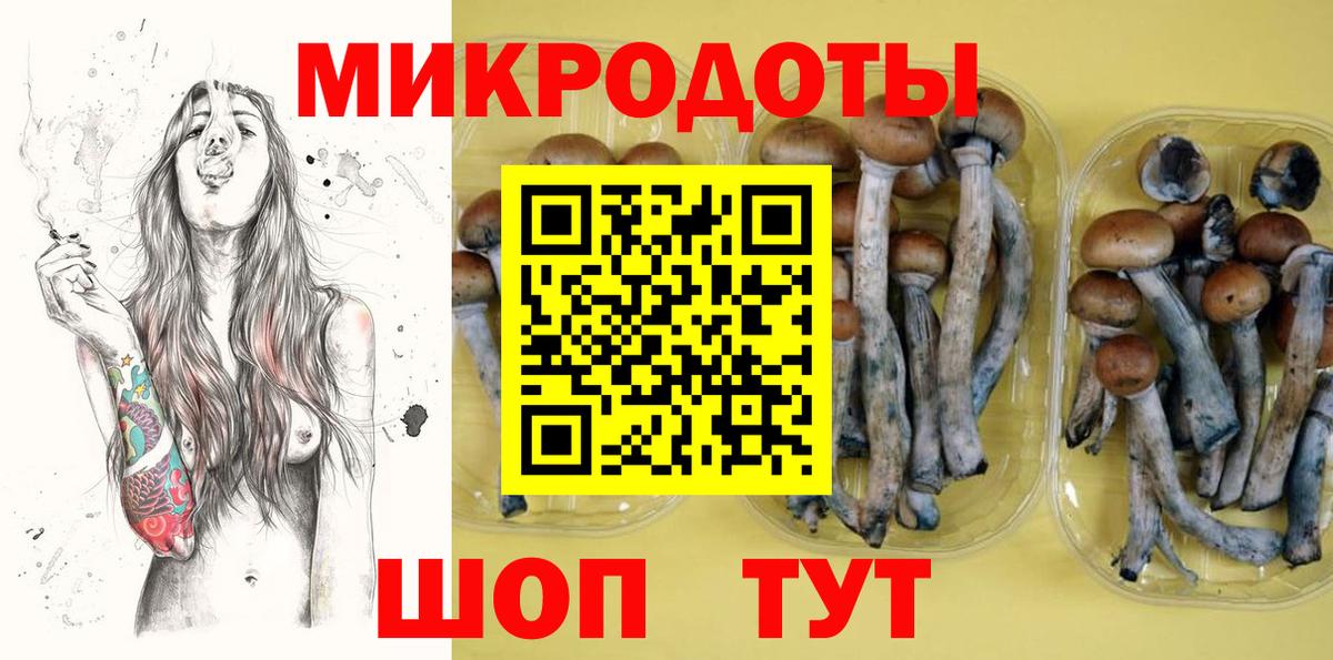 Галлюциногенные грибы Magic Shrooms Элиста
